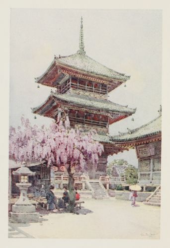 WISTARIA, KYOMIDZU