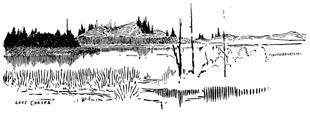 Marsh