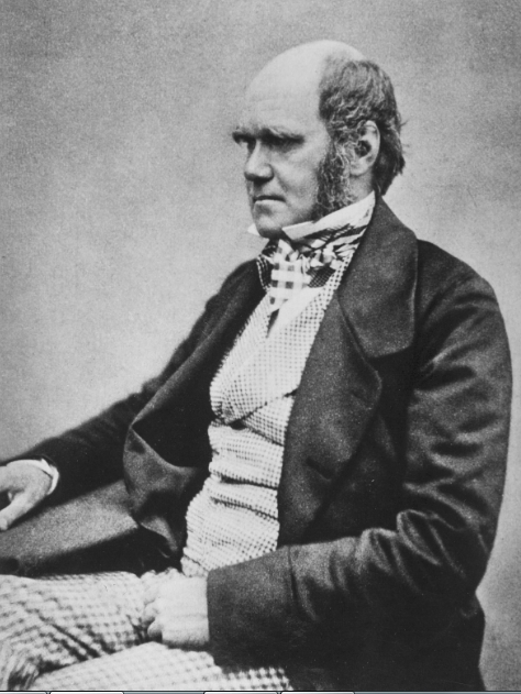 DARWIN