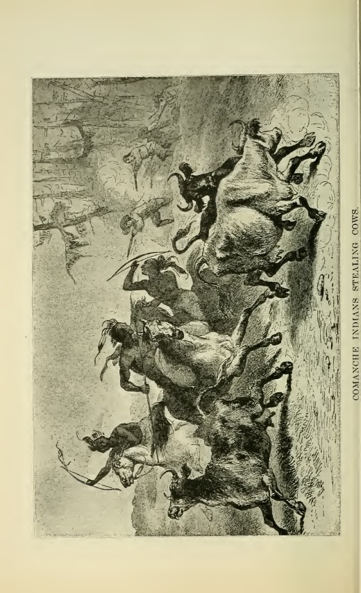 Comanche Cattle Rustlers