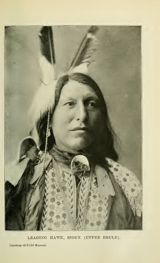 Leading Hawk