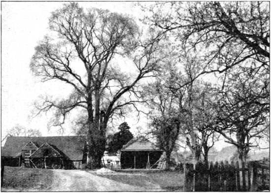 A Hertfordshire Farm near Rickmansworth