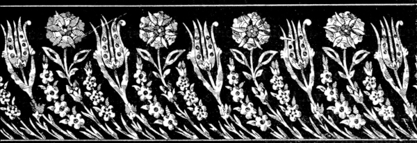 Décoration tête de page.