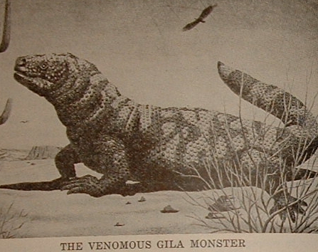 image332