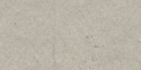 LI_15′′′′′_f_Pallid_Mouse_Gray
