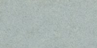 XLVIII_37′′′′_f_Glaucous-Gray