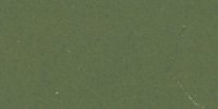 XVII_27′_m_Elm_Green