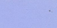 XXI_53′_d_Lavender-Blue
