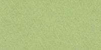 XXXII_31′′_b_Turtle_Green