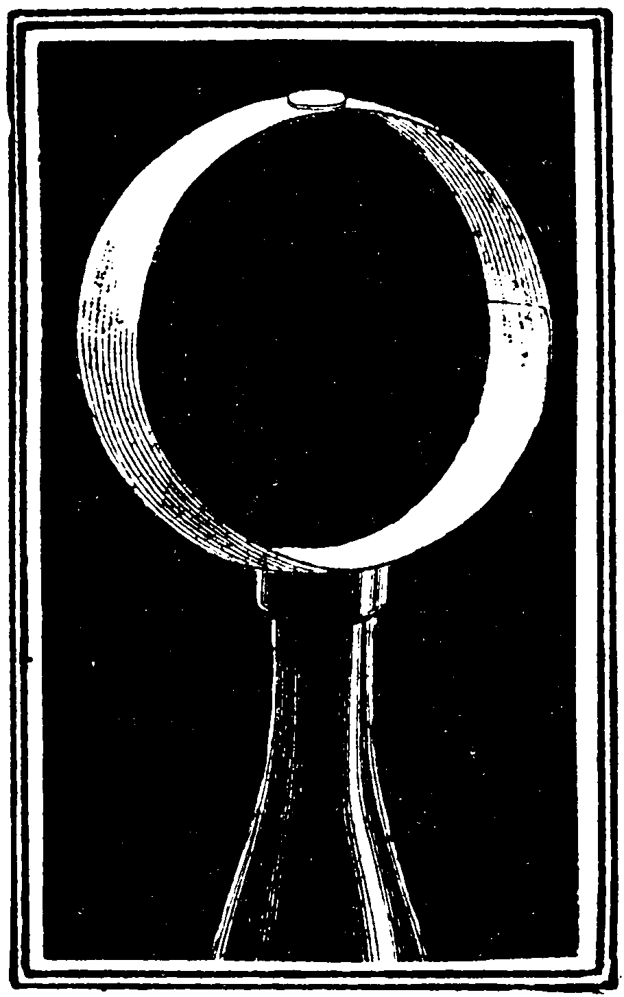 Bottle