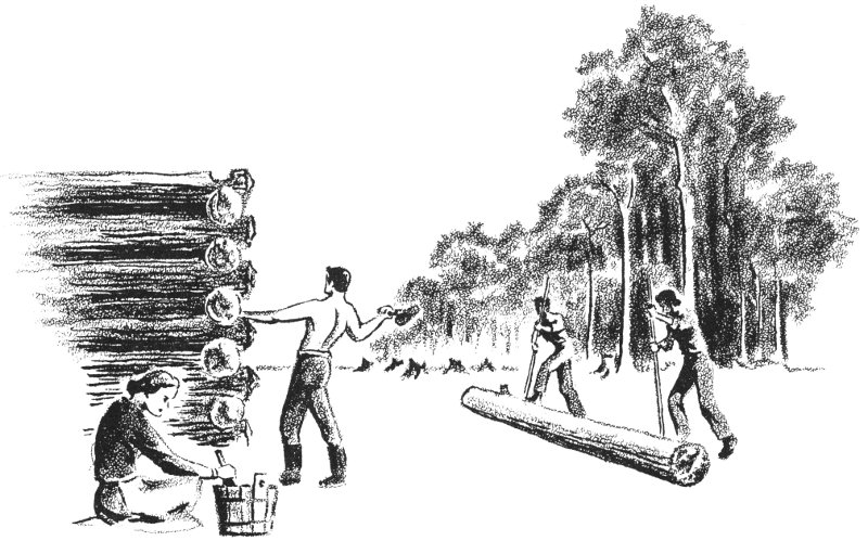 Raising a Cabin