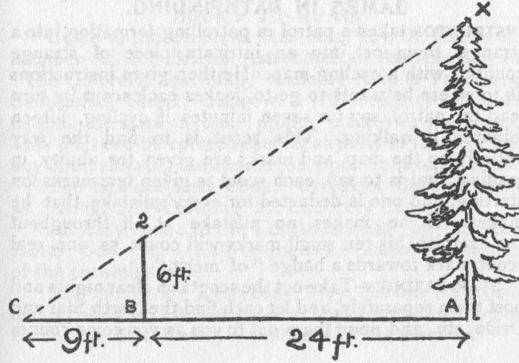 Height.