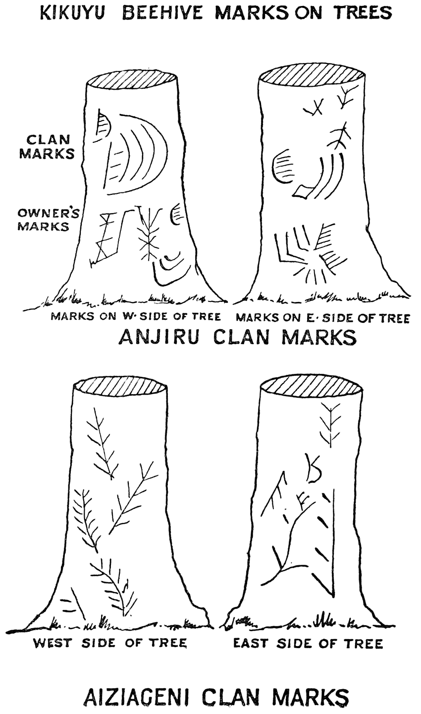 KIKUYU BEEHIVE MARKS ON TREES CLAN MARKS OWNER’S MARKS Marks on W. Side of Tree Marks on E. Side of Tree ANJIRU CLAN MARKS West Side of Tree East Side of Tree AIZIAGENI CLAN MARKS