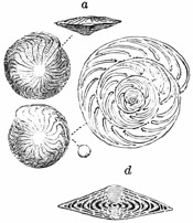 Fig. 37.