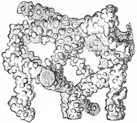 Fig. 59.