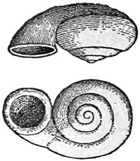Fig. 839.
