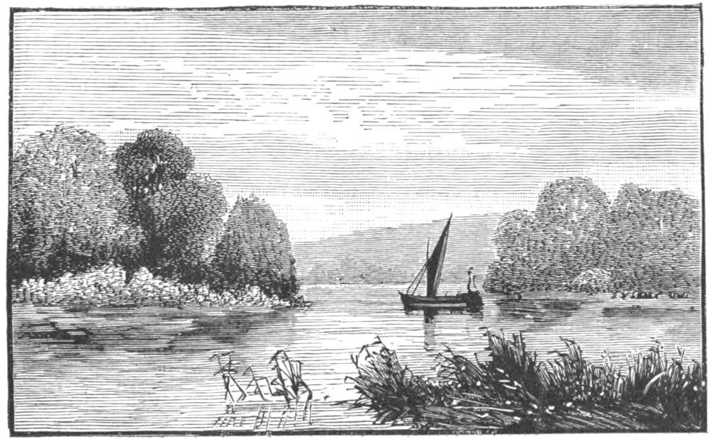 boats near shore