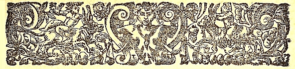 ilop243