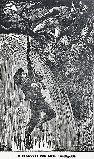 image002