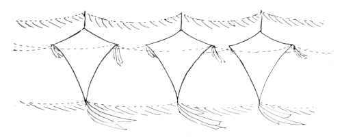 tandem kites