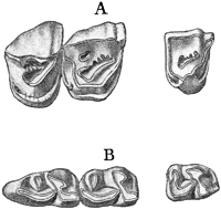 Fig. 717.