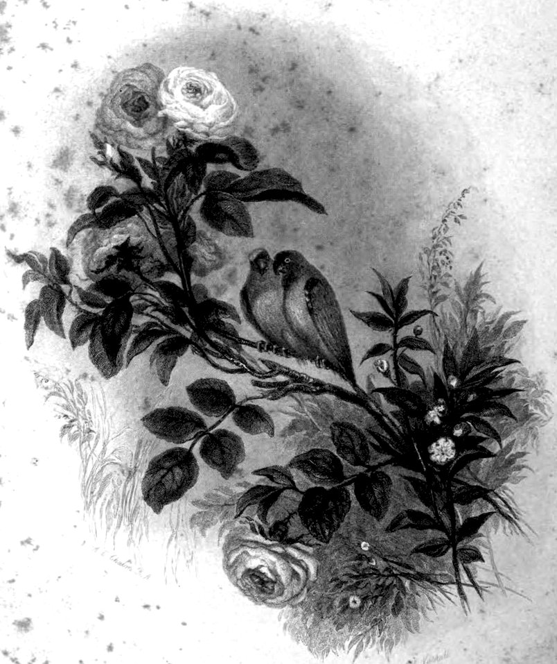 [Fleuron]