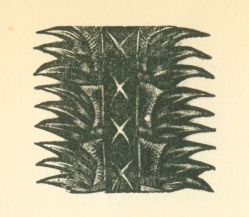 woodcut