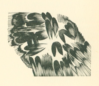 woodcut