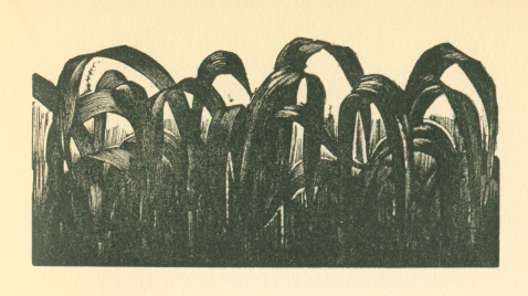 woodcut
