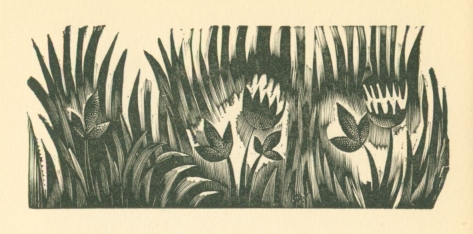 woodcut