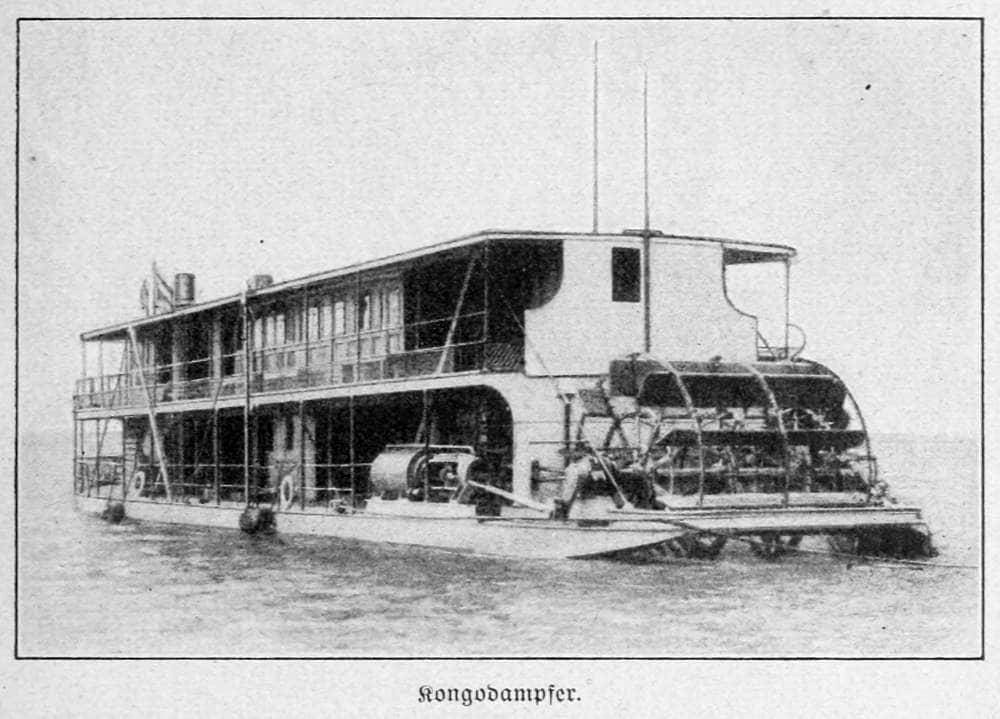 Kongodampfer