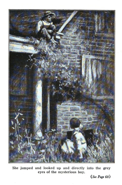 She jumped and looked up and directly into the grey eyes of the mysterious boy.  (<i>See Page 68</i>)