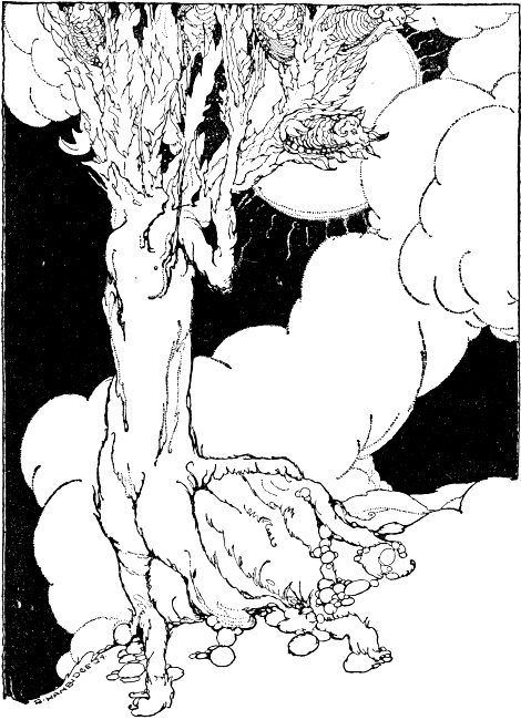 fruit