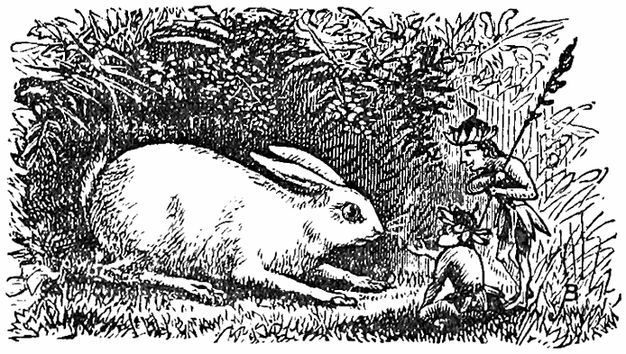 Two piskies and a rabbit.