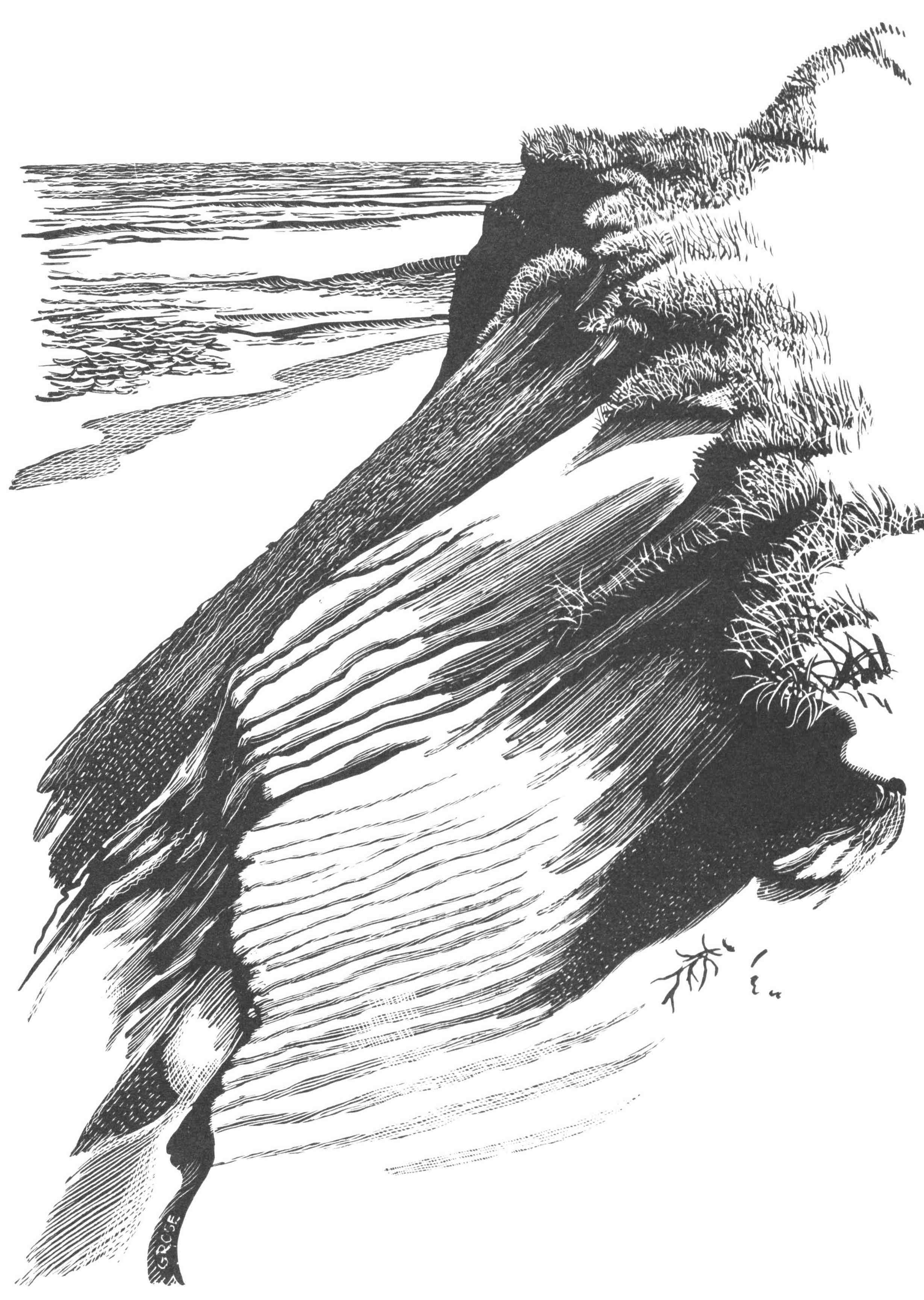 Sand dune and beach
