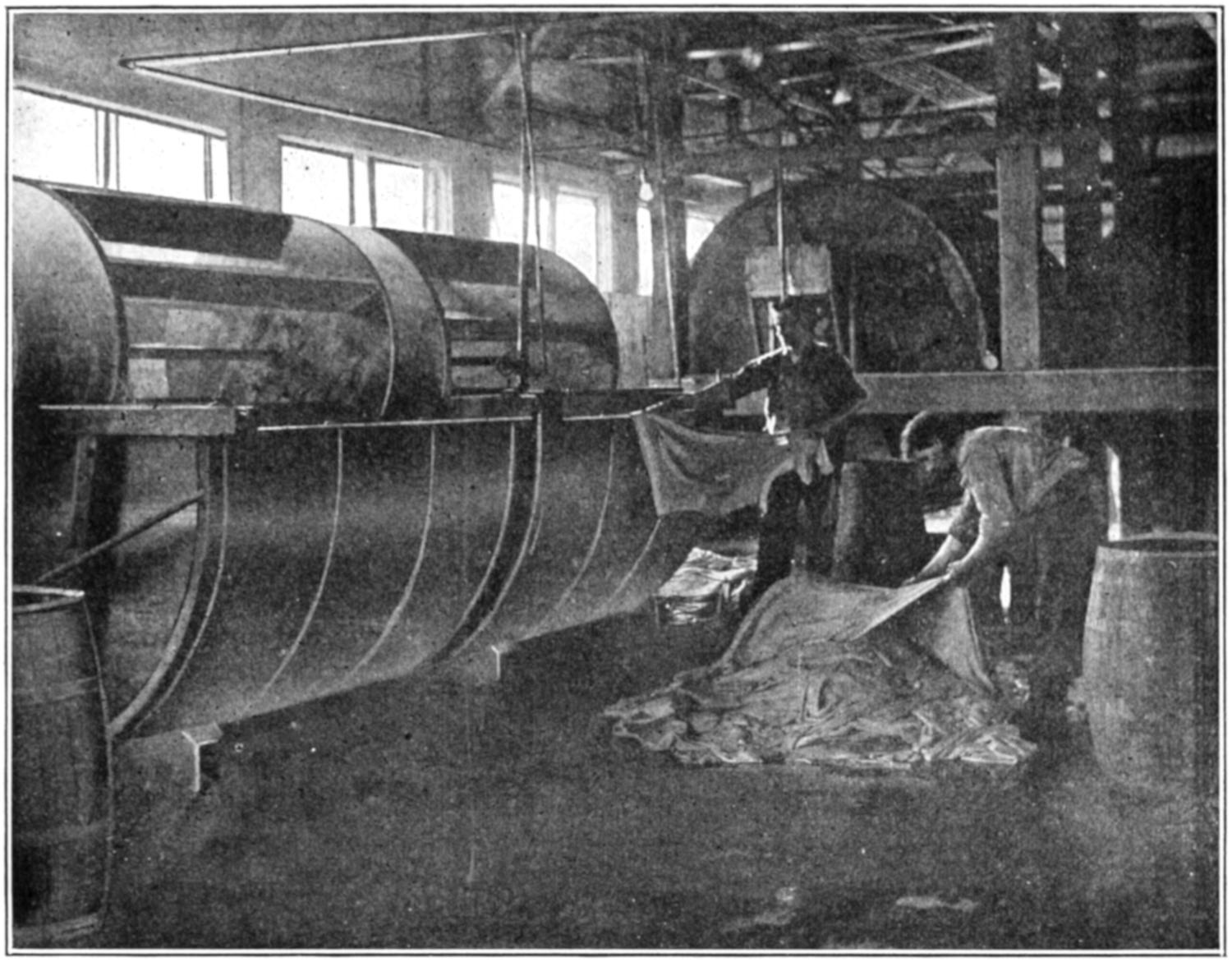 Men handling hides near rolling drums