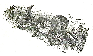 image003