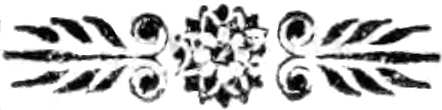 Viñeta ornamental