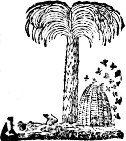 Viñeta ornamental