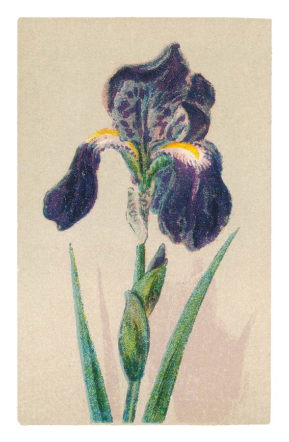 81