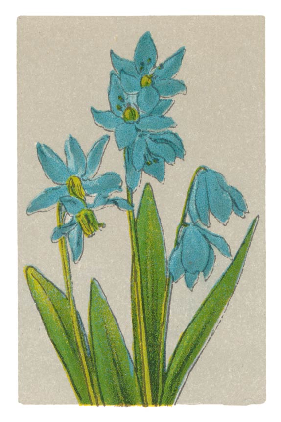 110
