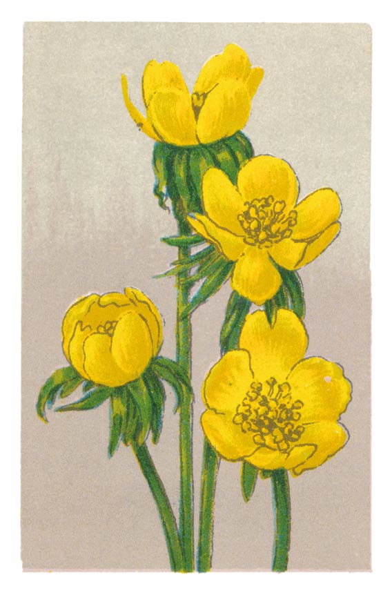 113