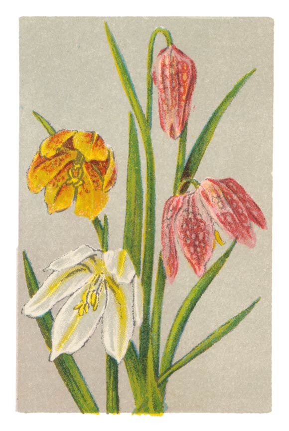 114