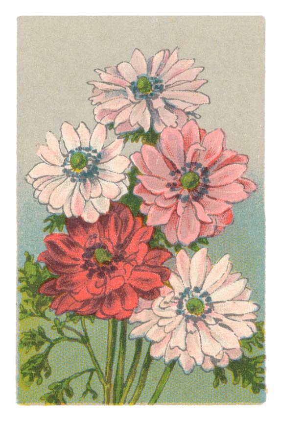 125