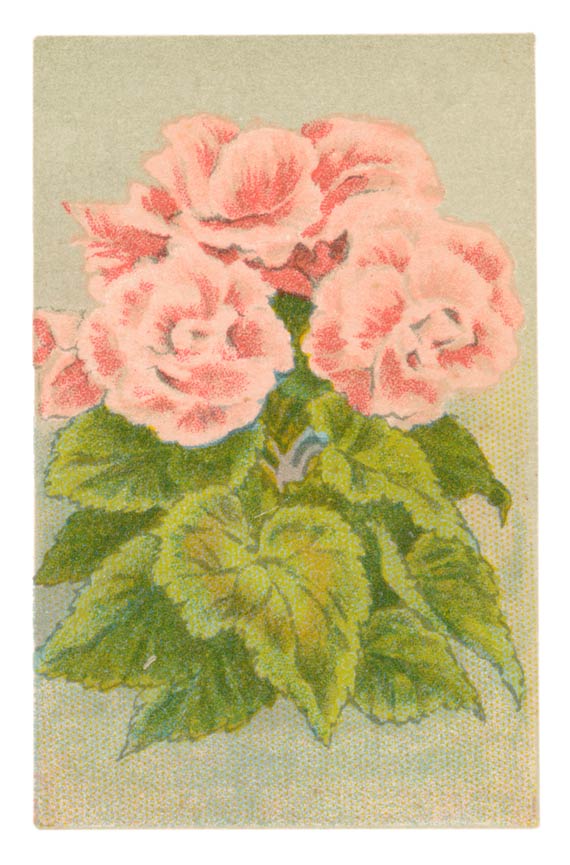 129
