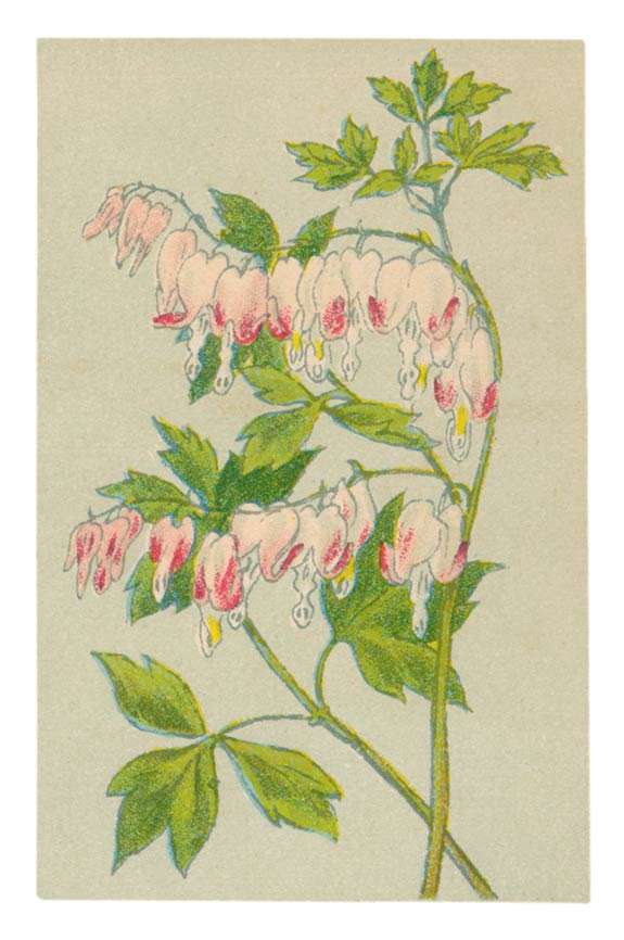 135