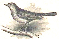 image023