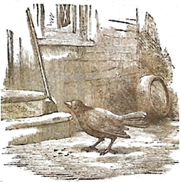 image036