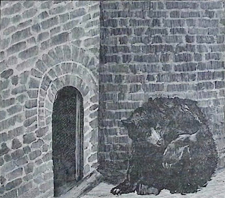 image016