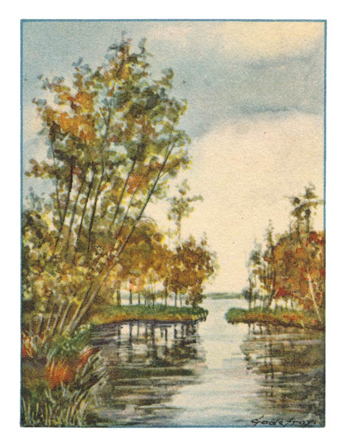 29. REEWIJK, Plassen